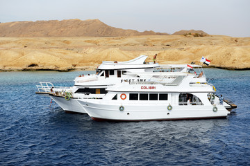 Marsa alam: wunderschöne Unterwasserwelt