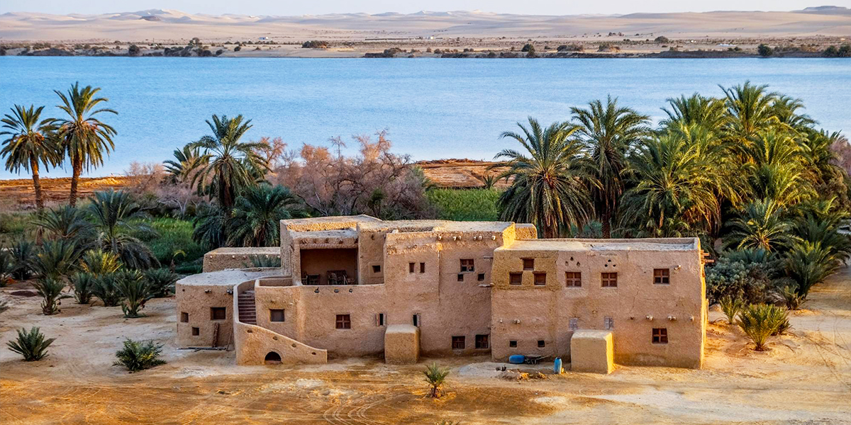 Siwa Oasis Safari