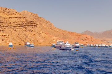Vacanza subacquea nel Mar Rosso